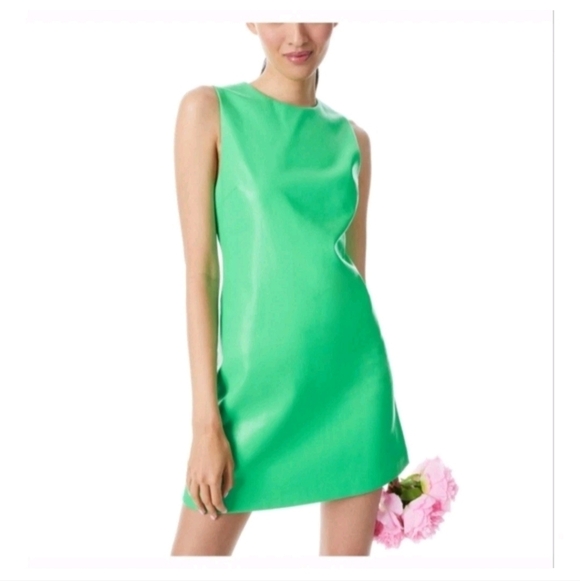 Alice+Olivia Coley faux-leather mini dress Size 0 $398 - Picture 4 of 15